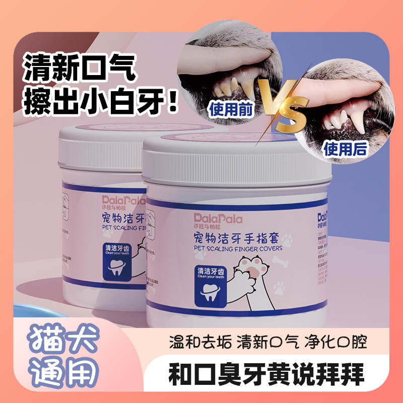 宠物洁牙